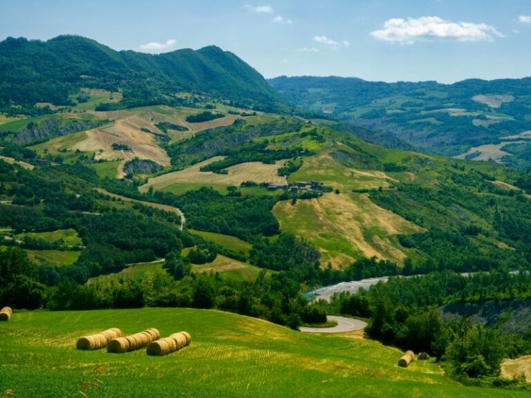 Piccoli frutti e piante officinali in appennino modenese