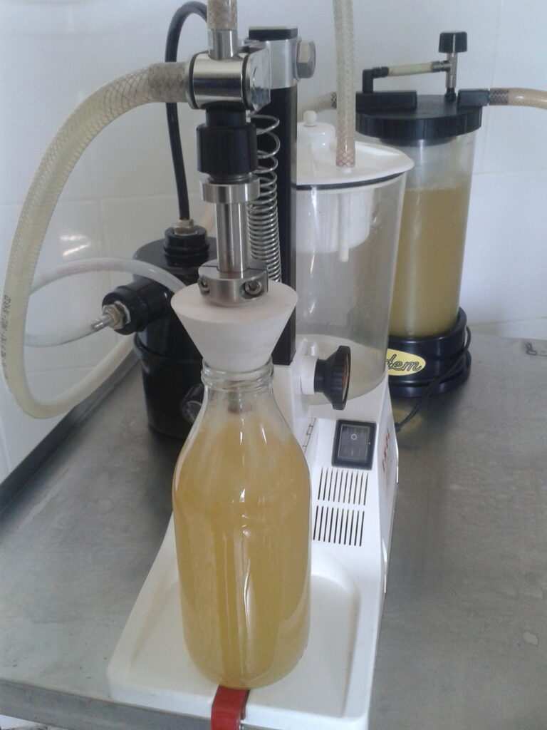 alchimia-verde_azienda-agricola-biodinamica-a-modena_006.jpg