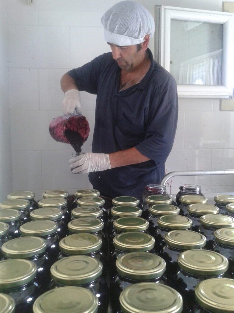 alchimia-verde_azienda-agricola-biodinamica-a-modena_010.jpg