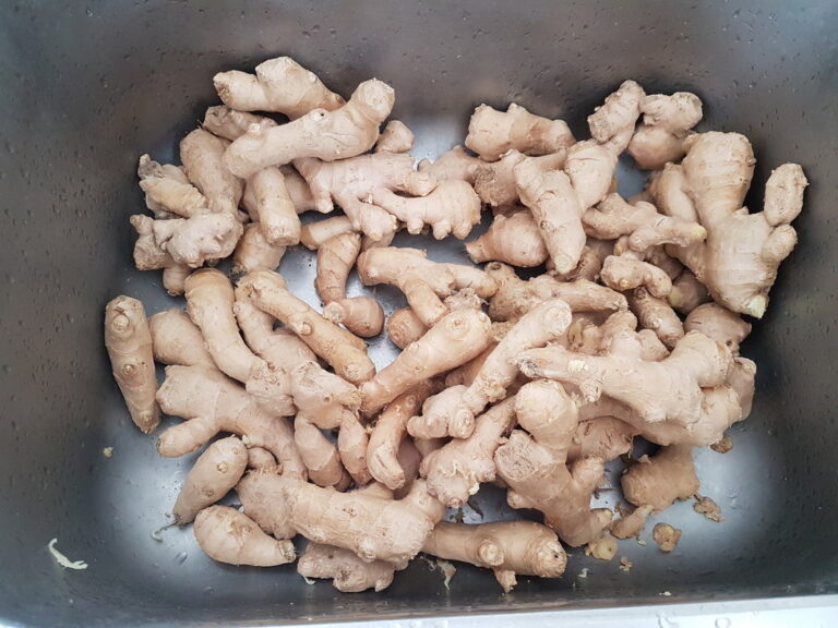 piante officinali ed erbe aromatiche coltivate in Appennino appese per l'essiccazione artigianale.
