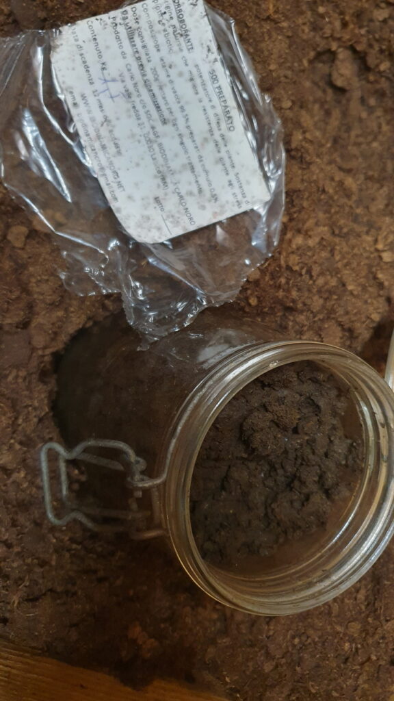 piante officinali ed erbe aromatiche coltivate in Appennino appese per l'essiccazione artigianale.