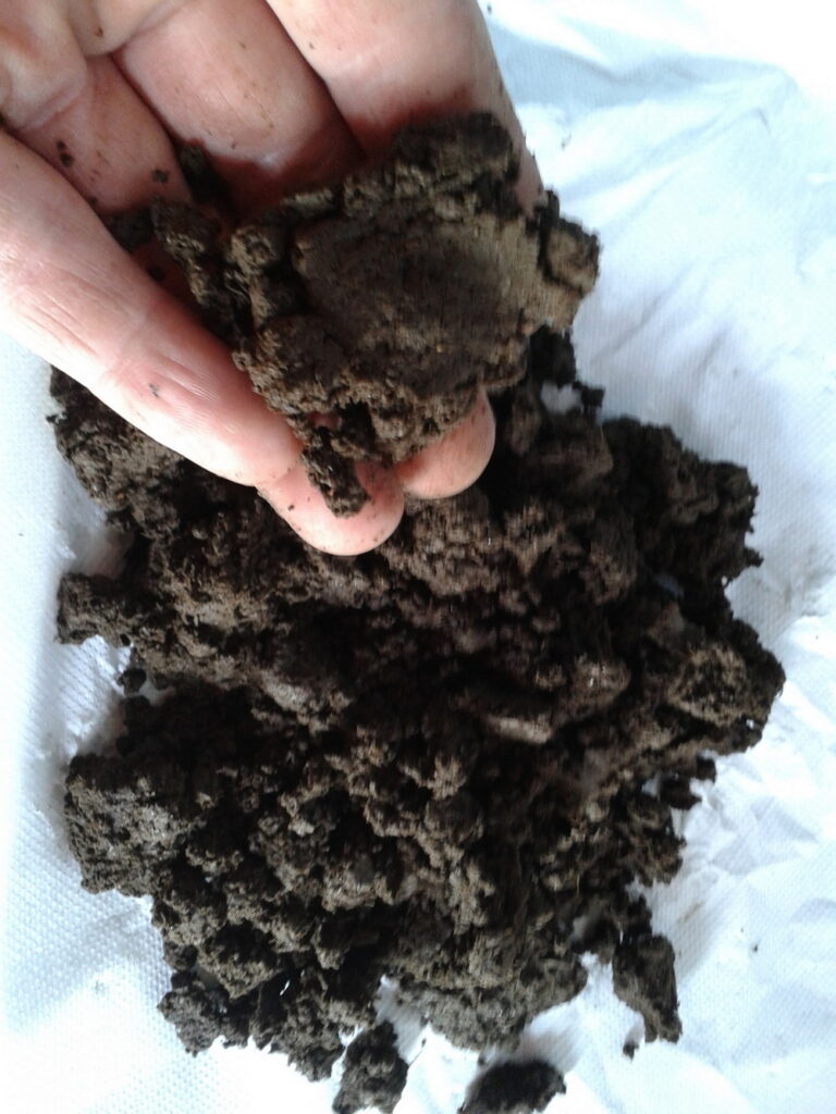 piante officinali ed erbe aromatiche coltivate in Appennino appese per l'essiccazione artigianale.