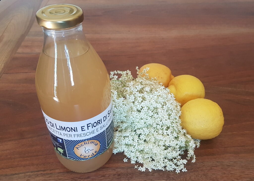 Bottiglie in vetro di sciroppi naturali e artigianali di piccoli frutti e piante officinali