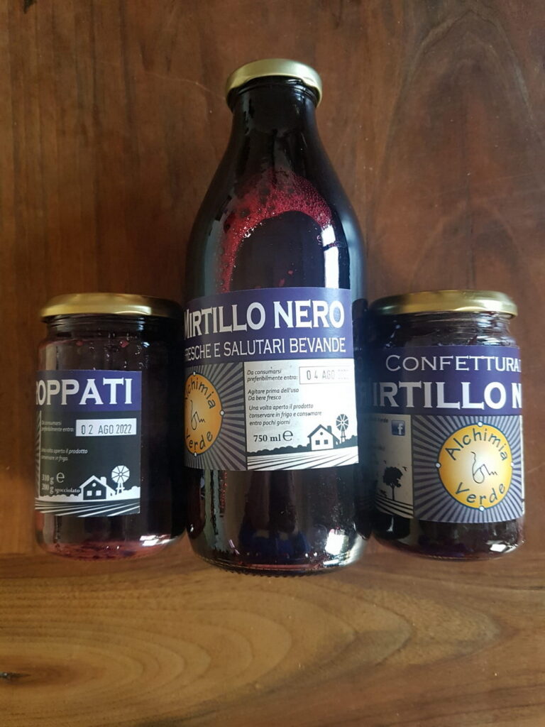 Bottiglie in vetro di sciroppi naturali e artigianali di piccoli frutti e piante officinali