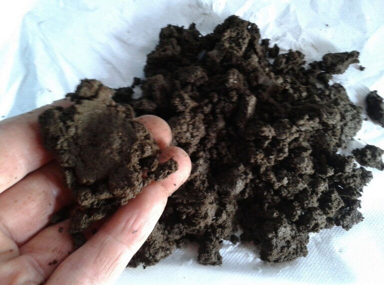 agricoltura-biodinamica_alchimia-verde-modena